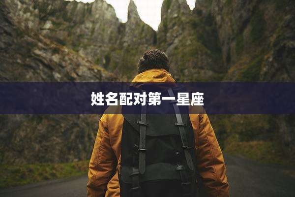 姓名配对第一星座