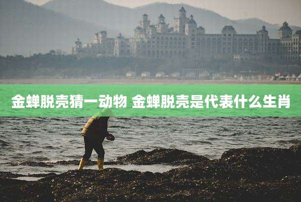 金蝉脱壳猜一动物 金蝉脱壳是代表什么生肖