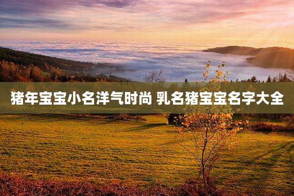 猪年宝宝小名洋气时尚 乳名猪宝宝名字大全