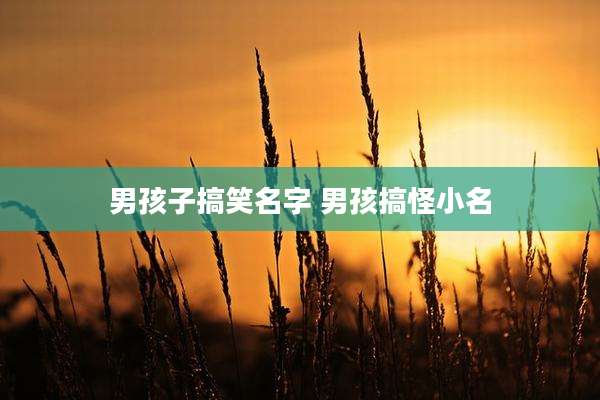 男孩子搞笑名字 男孩搞怪小名