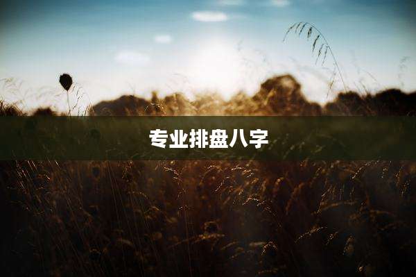 专业排盘八字