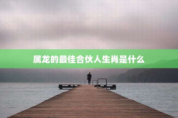 属龙的最佳合伙人生肖是什么