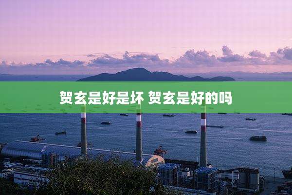 贺玄是好是坏 贺玄是好的吗