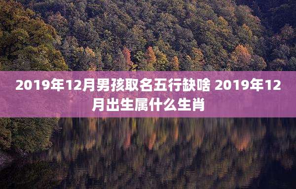 2019年12月男孩取名五行缺啥 2019年12月出生属什么生肖