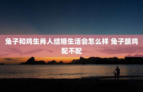 兔子和鸡生肖人结婚生活会怎么样 兔子跟鸡配不配