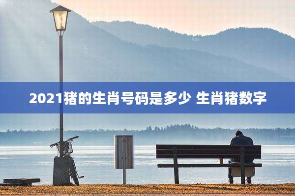 2021猪的生肖号码是多少 生肖猪数字