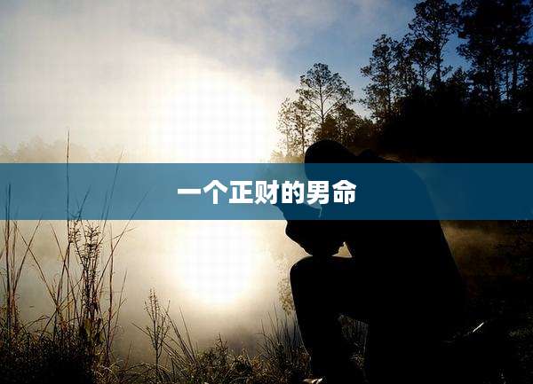 一个正财的男命