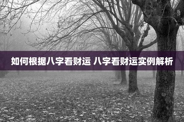 如何根据八字看财运 八字看财运实例解析