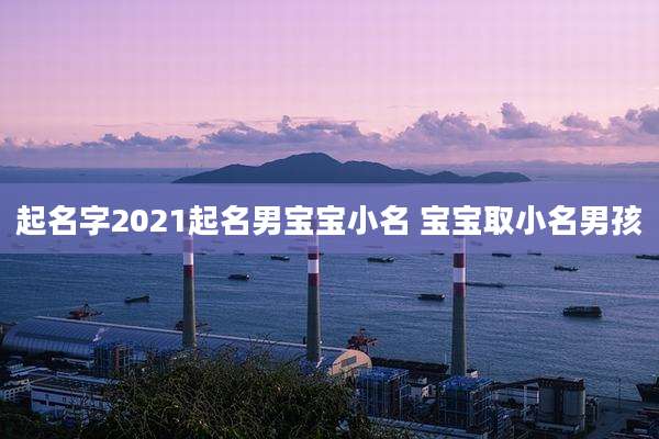 起名字2021起名男宝宝小名 宝宝取小名男孩