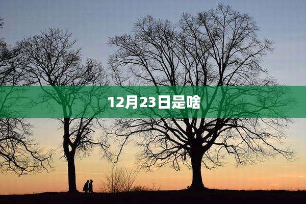 12月23日是啥