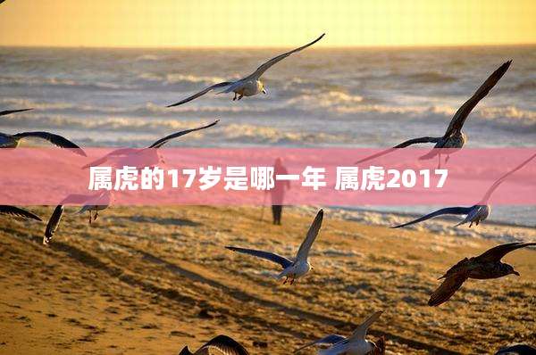 属虎的17岁是哪一年 属虎2017