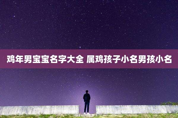 鸡年男宝宝名字大全 属鸡孩子小名男孩小名
