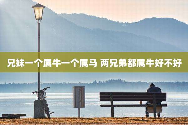 兄妹一个属牛一个属马 两兄弟都属牛好不好