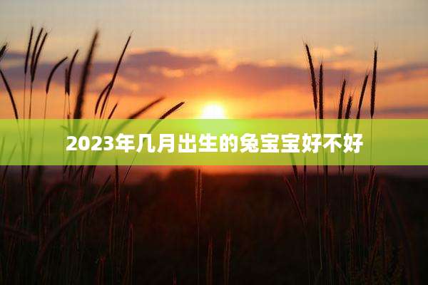 2023年几月出生的兔宝宝好不好