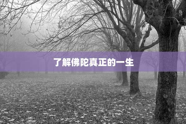 了解佛陀真正的一生
