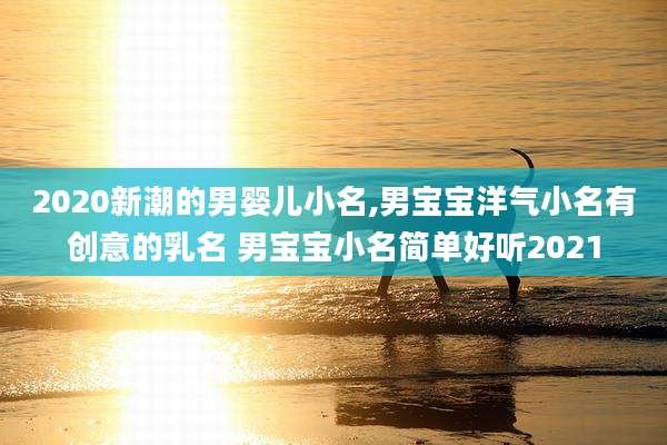 2020新潮的男婴儿小名,男宝宝洋气小名有创意的乳名 男宝宝小名简单好听2021