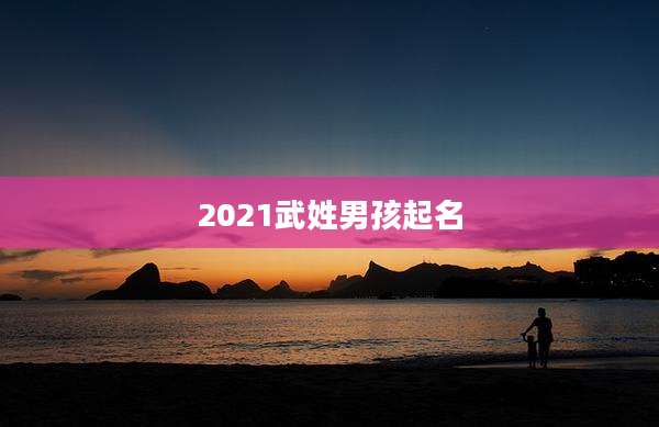 2021武姓男孩起名