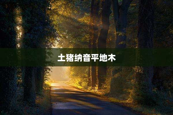 土猪纳音平地木
