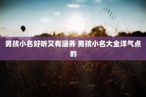 男孩小名好听又有涵养 男孩小名大全洋气点的