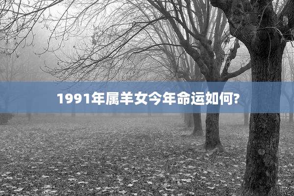 1991年属羊女今年命运如何?