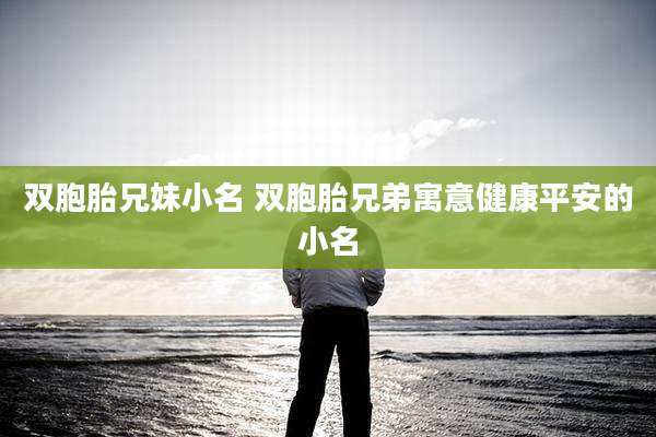 双胞胎兄妹小名 双胞胎兄弟寓意健康平安的小名