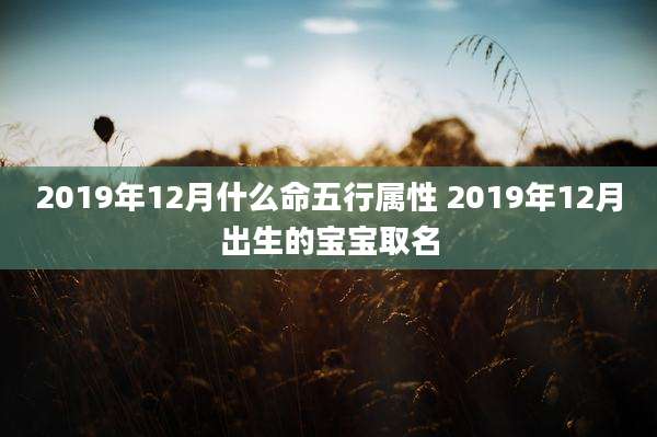 2019年12月什么命五行属性 2019年12月出生的宝宝取名
