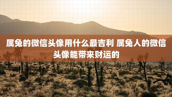 属兔的微信头像用什么最吉利 属兔人的微信头像能带来财运的