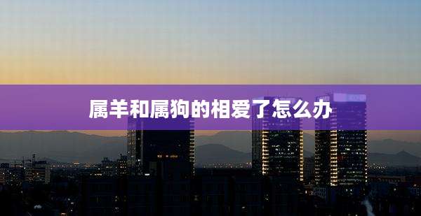属羊和属狗的相爱了怎么办