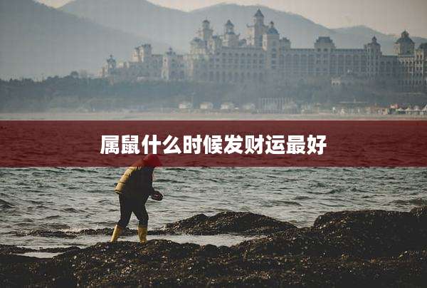 属鼠什么时候发财运最好