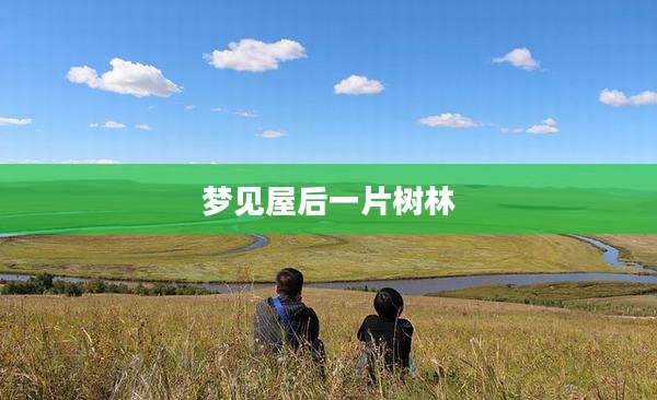 梦见屋后一片树林