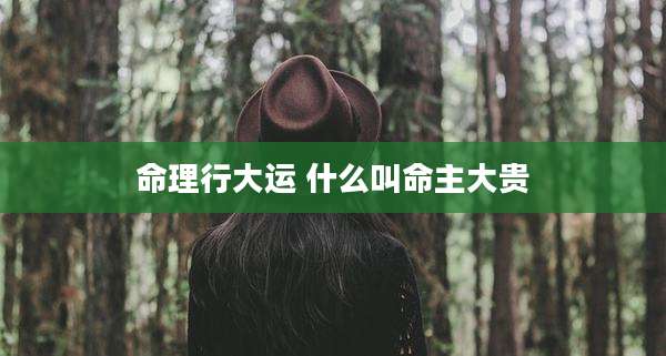 命理行大运 什么叫命主大贵