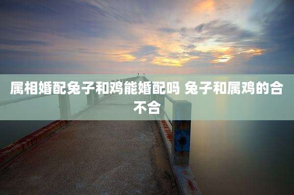 属相婚配兔子和鸡能婚配吗 兔子和属鸡的合不合