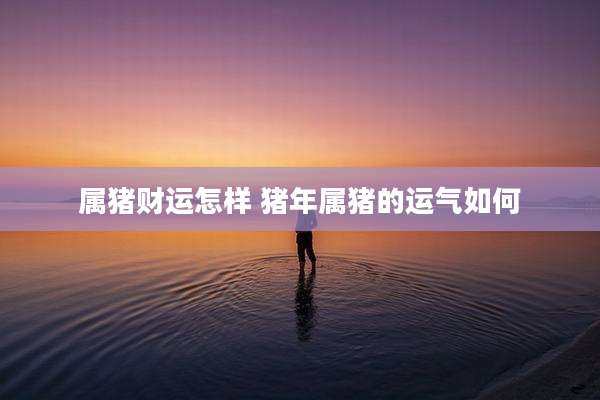 属猪财运怎样 猪年属猪的运气如何