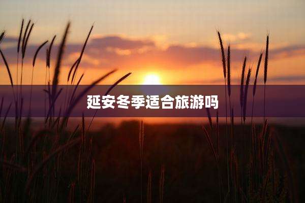 延安冬季适合旅游吗