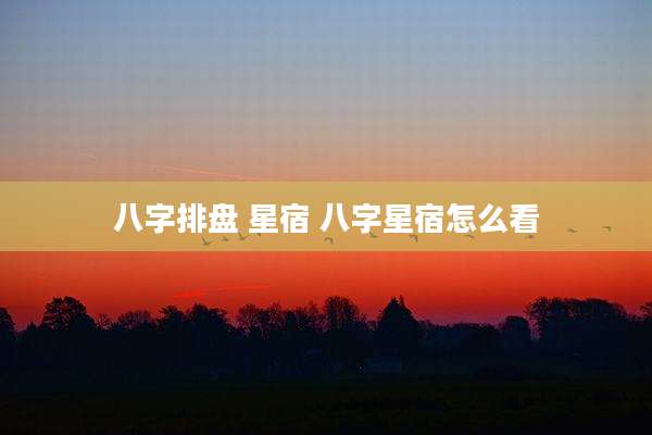 八字排盘 星宿 八字星宿怎么看