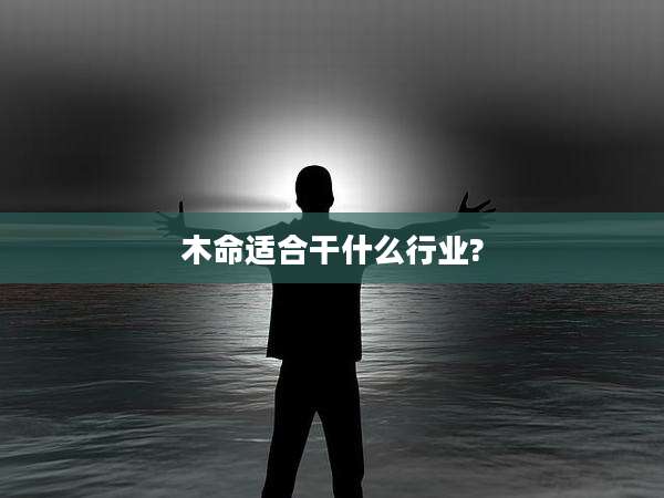 木命适合干什么行业?