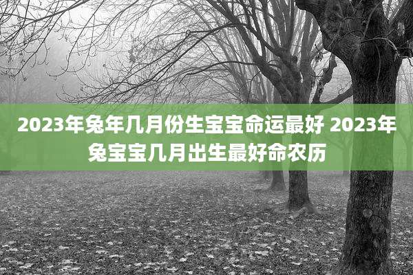 2023年兔年几月份生宝宝命运最好 2023年兔宝宝几月出生最好命农历