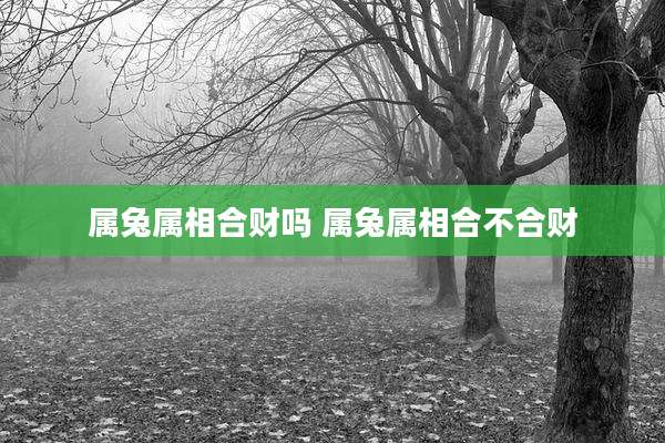 属兔属相合财吗 属兔属相合不合财