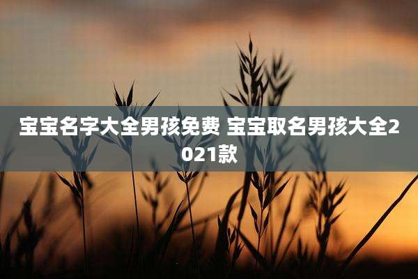 宝宝名字大全男孩免费 宝宝取名男孩大全2021款