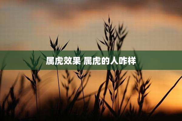 属虎效果 属虎的人咋样