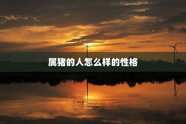 属猪的人怎么样的性格