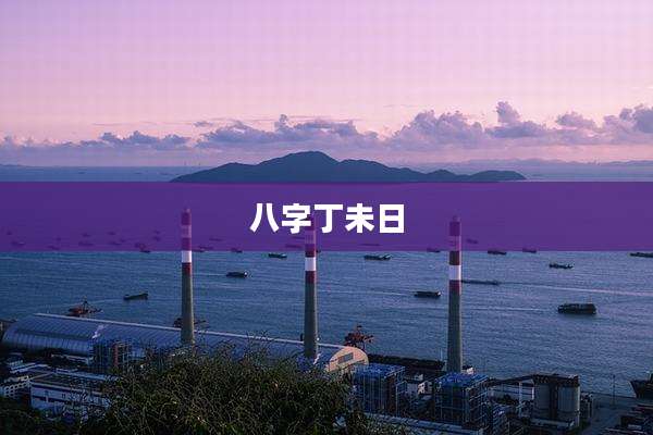 八字丁未日