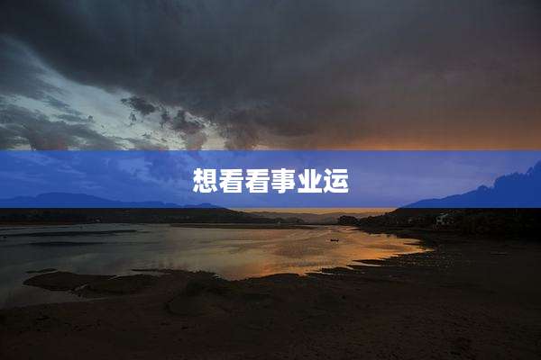 想看看事业运