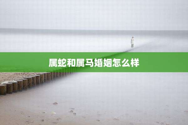 属蛇和属马婚姻怎么样