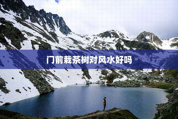 门前栽茶树对风水好吗