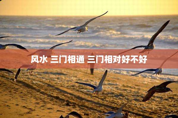 风水 三门相通 三门相对好不好