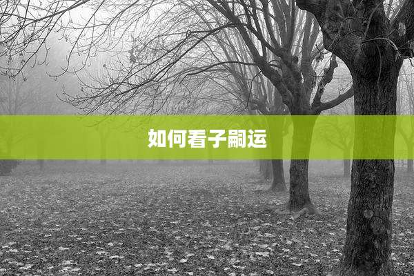 如何看子嗣运