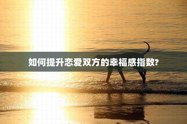 如何提升恋爱双方的幸福感指数?