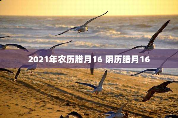 2021年农历腊月16 阴历腊月16