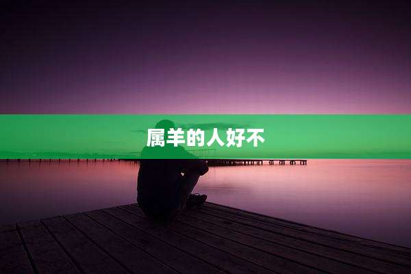 属羊的人好不